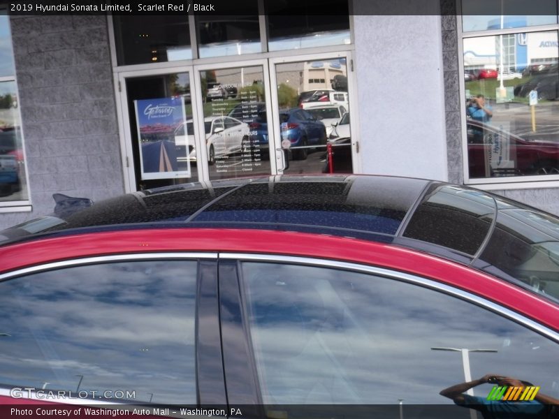 Scarlet Red / Black 2019 Hyundai Sonata Limited