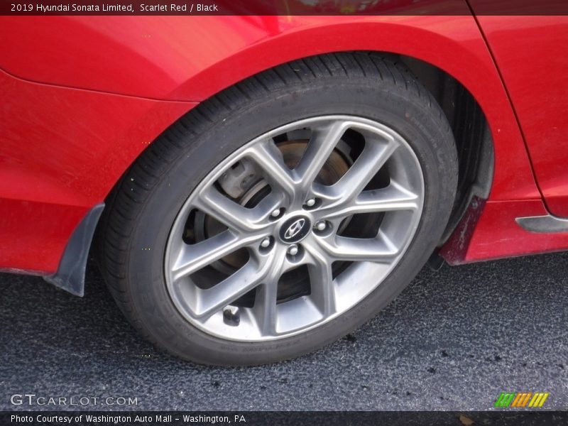 Scarlet Red / Black 2019 Hyundai Sonata Limited