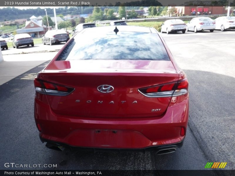 Scarlet Red / Black 2019 Hyundai Sonata Limited