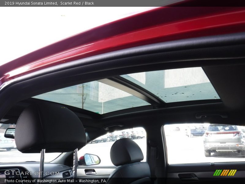 Scarlet Red / Black 2019 Hyundai Sonata Limited