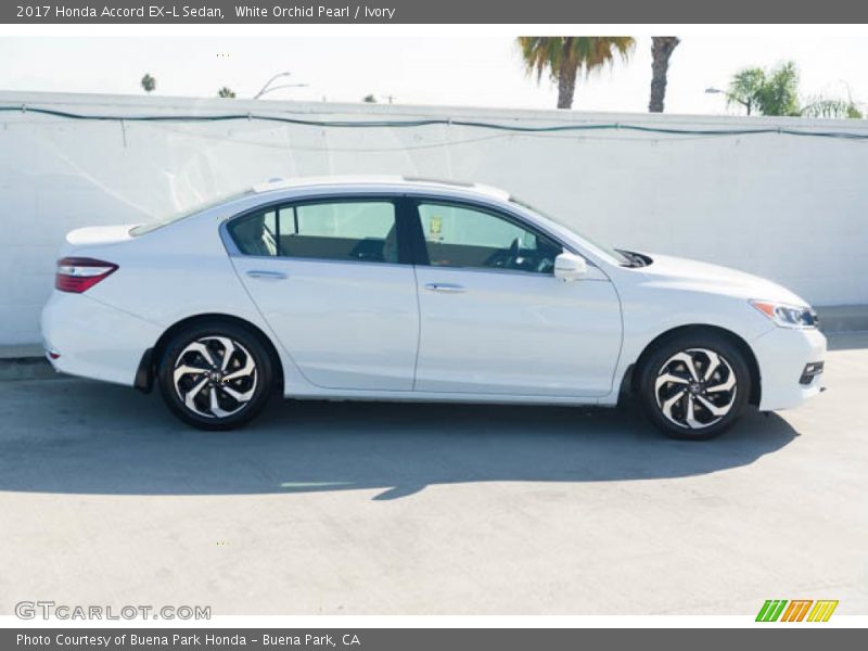 White Orchid Pearl / Ivory 2017 Honda Accord EX-L Sedan