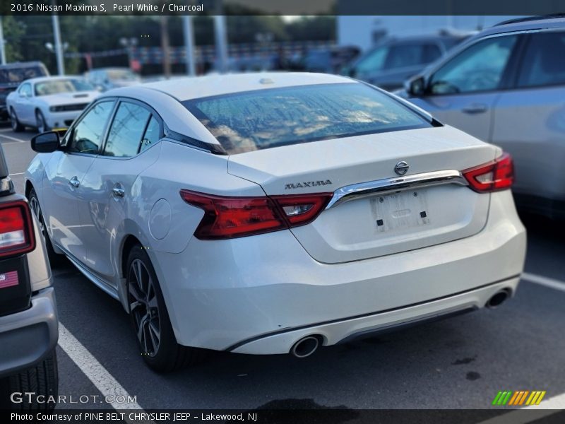 Pearl White / Charcoal 2016 Nissan Maxima S