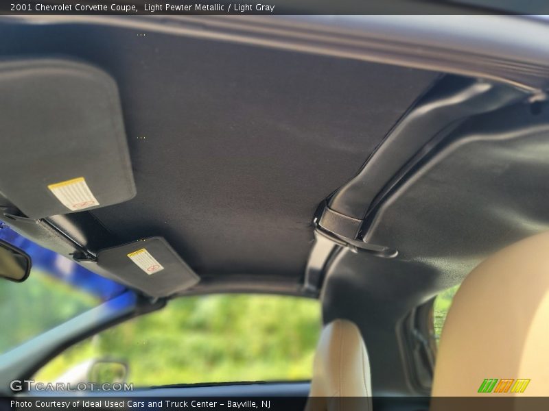 Light Pewter Metallic / Light Gray 2001 Chevrolet Corvette Coupe