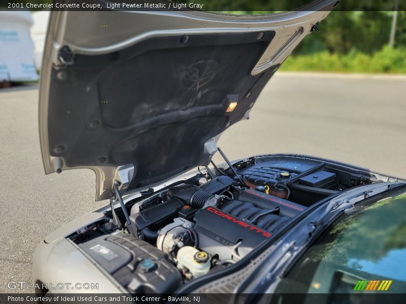 Light Pewter Metallic / Light Gray 2001 Chevrolet Corvette Coupe