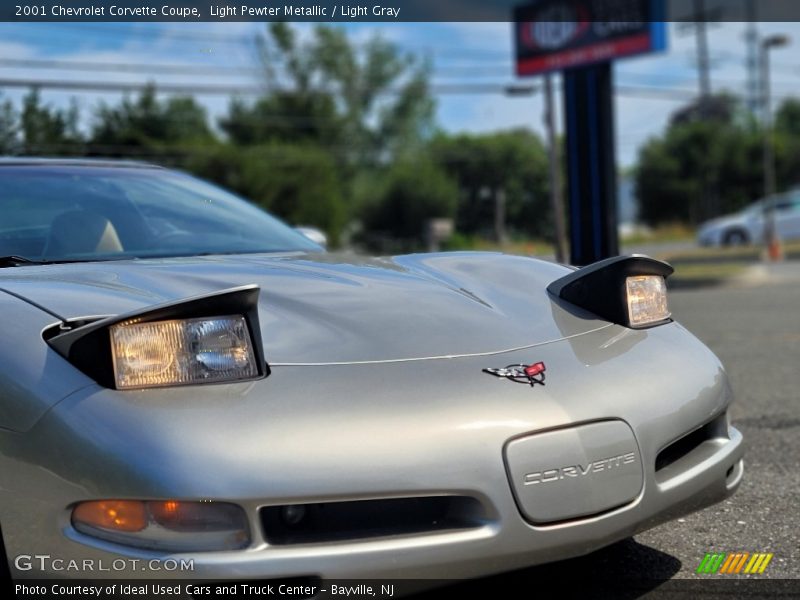 Light Pewter Metallic / Light Gray 2001 Chevrolet Corvette Coupe