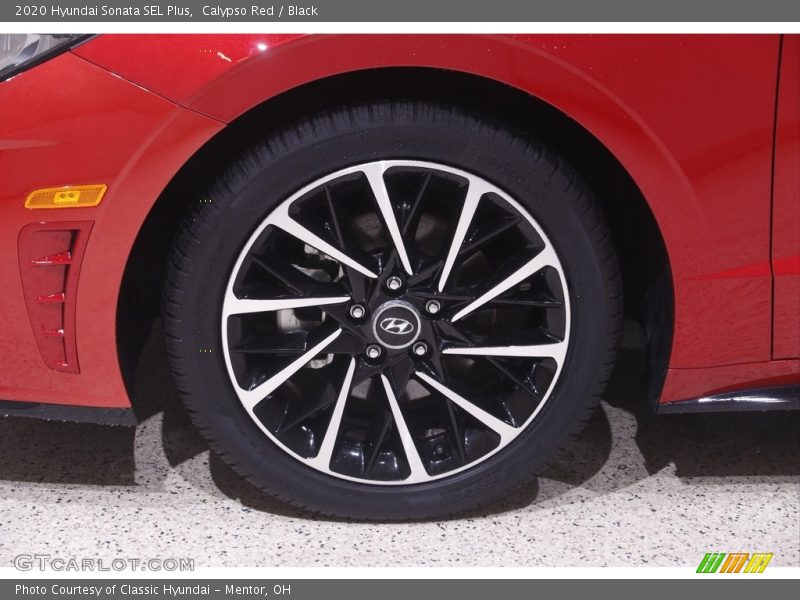 Calypso Red / Black 2020 Hyundai Sonata SEL Plus