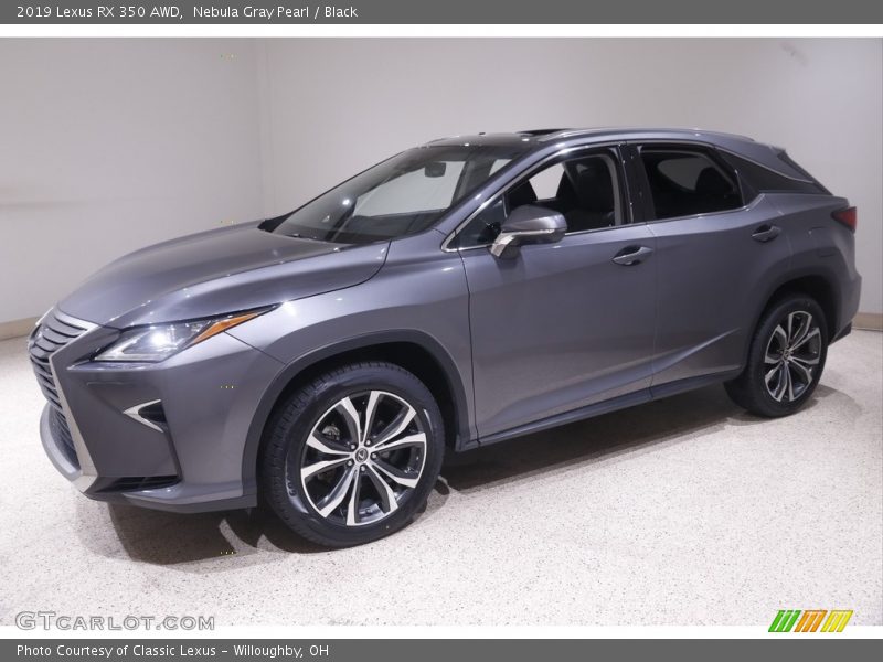 Nebula Gray Pearl / Black 2019 Lexus RX 350 AWD