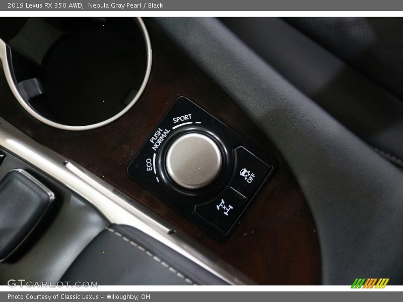 Nebula Gray Pearl / Black 2019 Lexus RX 350 AWD