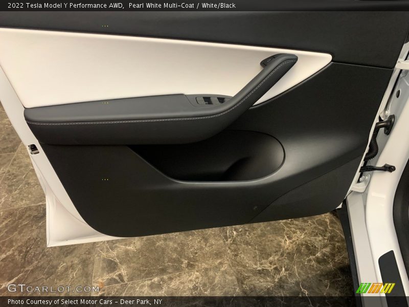 Door Panel of 2022 Model Y Performance AWD