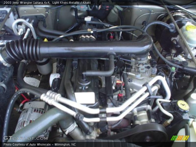 Light Khaki Metallic / Khaki 2003 Jeep Wrangler Sahara 4x4