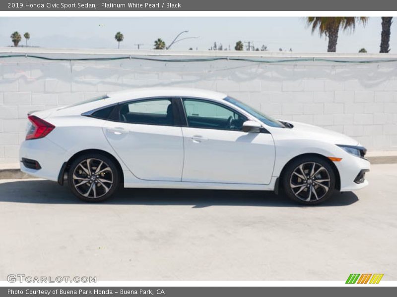 Platinum White Pearl / Black 2019 Honda Civic Sport Sedan