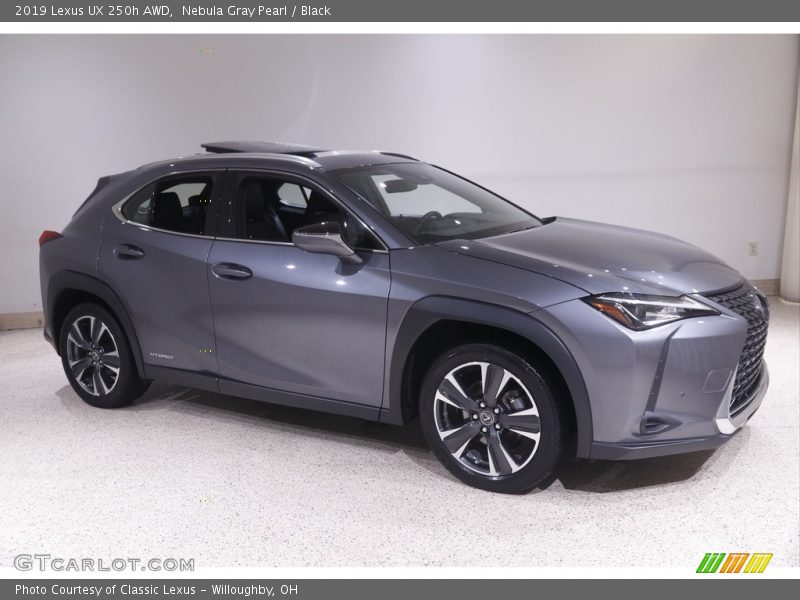 Nebula Gray Pearl / Black 2019 Lexus UX 250h AWD