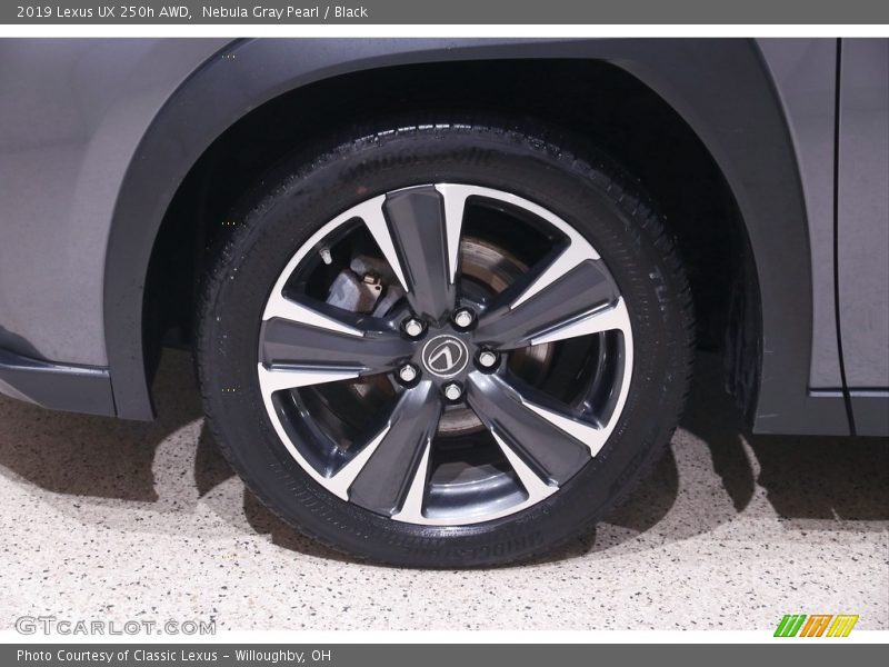 Nebula Gray Pearl / Black 2019 Lexus UX 250h AWD