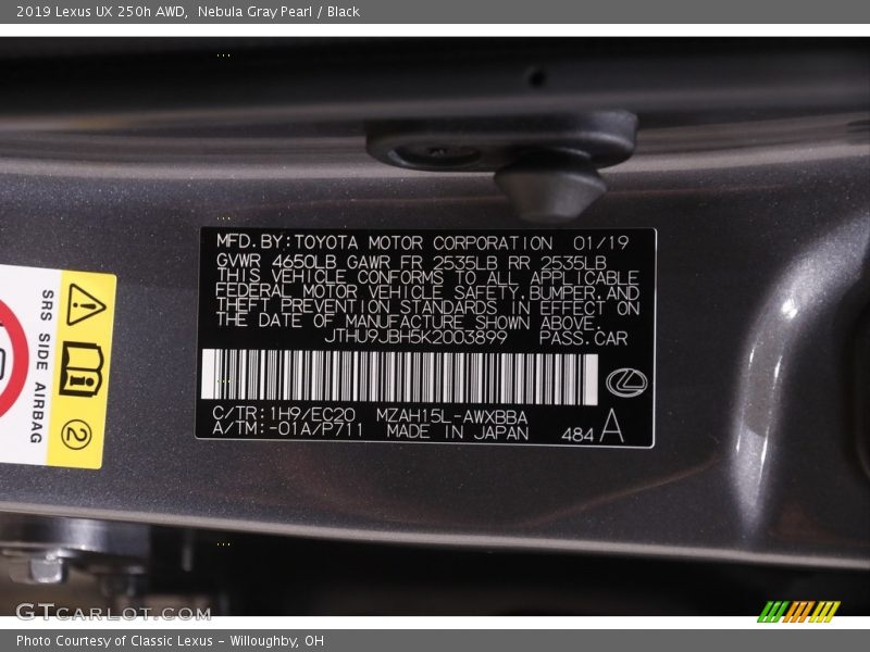 2019 UX 250h AWD Nebula Gray Pearl Color Code 1H9
