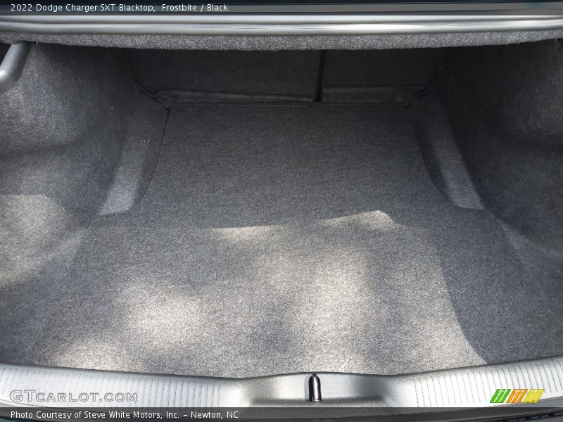 Frostbite / Black 2022 Dodge Charger SXT Blacktop