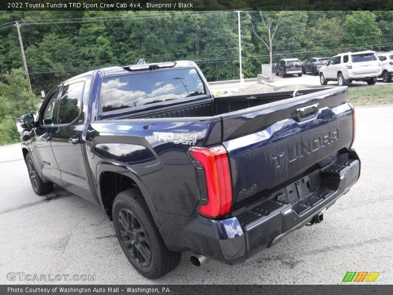 Blueprint / Black 2022 Toyota Tundra TRD Sport Crew Cab 4x4