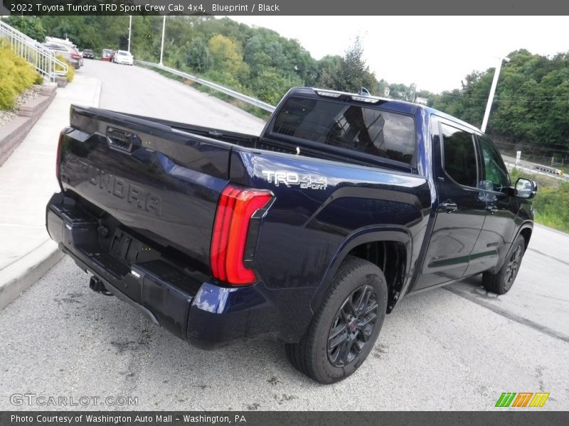 Blueprint / Black 2022 Toyota Tundra TRD Sport Crew Cab 4x4