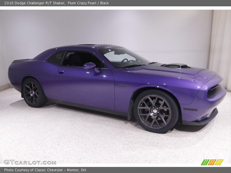 Plum Crazy Pearl / Black 2016 Dodge Challenger R/T Shaker
