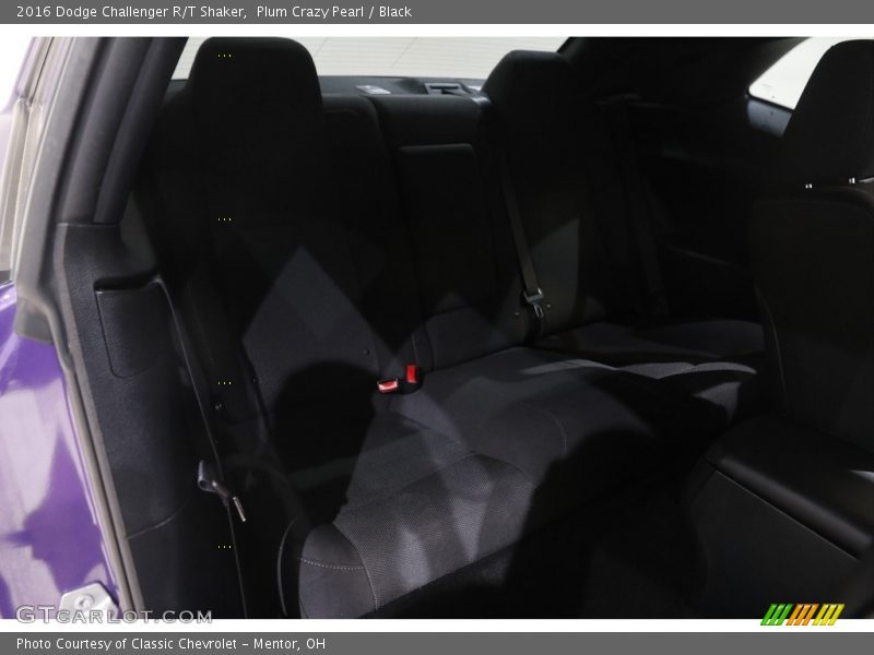 Plum Crazy Pearl / Black 2016 Dodge Challenger R/T Shaker