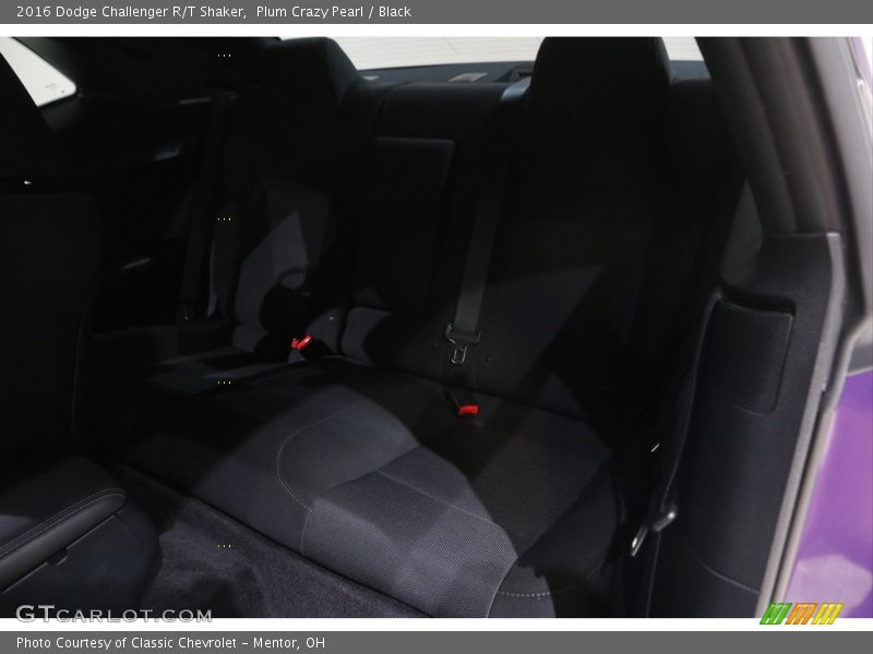 Plum Crazy Pearl / Black 2016 Dodge Challenger R/T Shaker