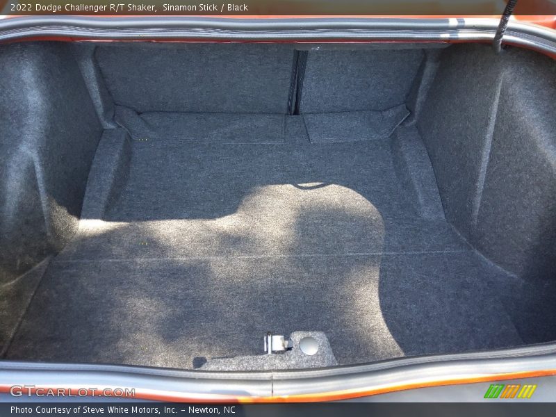 Sinamon Stick / Black 2022 Dodge Challenger R/T Shaker