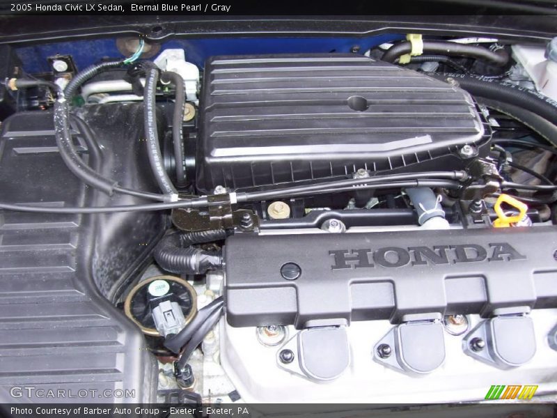 Eternal Blue Pearl / Gray 2005 Honda Civic LX Sedan