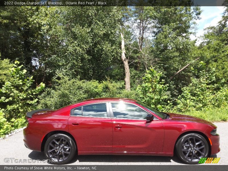 Octane Red Pearl / Black 2022 Dodge Charger SXT Blacktop