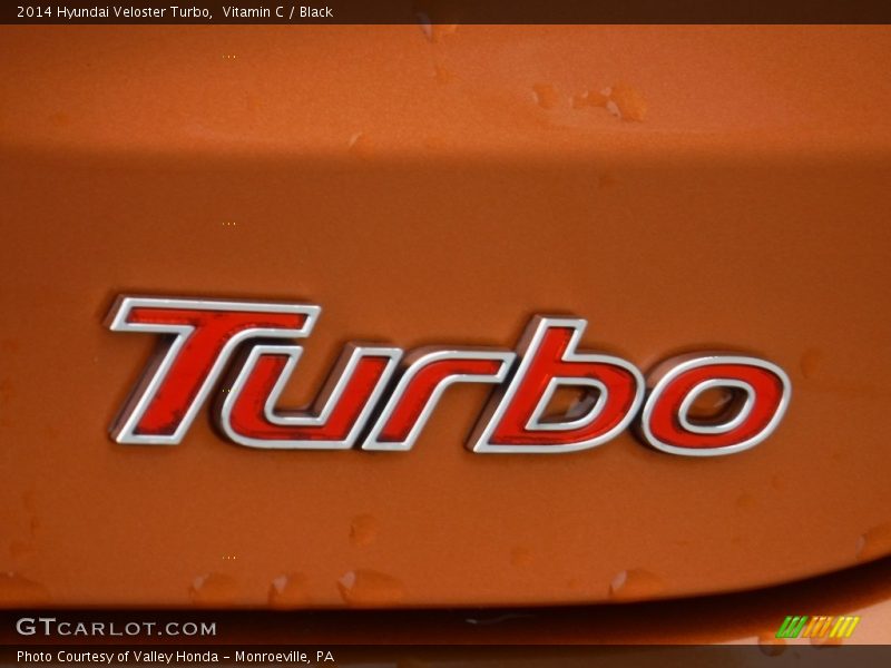 Vitamin C / Black 2014 Hyundai Veloster Turbo