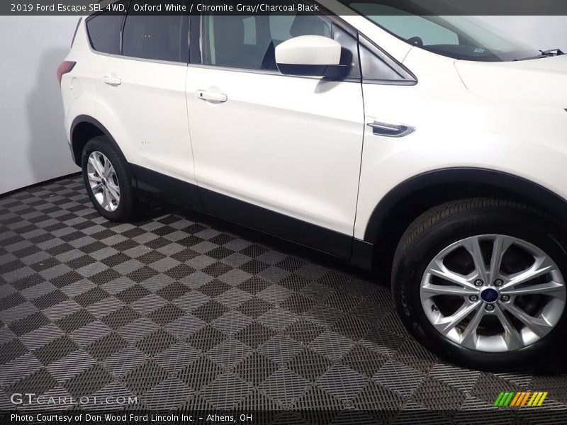 Oxford White / Chromite Gray/Charcoal Black 2019 Ford Escape SEL 4WD