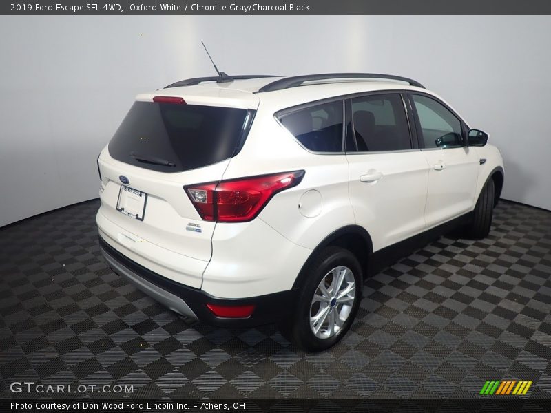 Oxford White / Chromite Gray/Charcoal Black 2019 Ford Escape SEL 4WD
