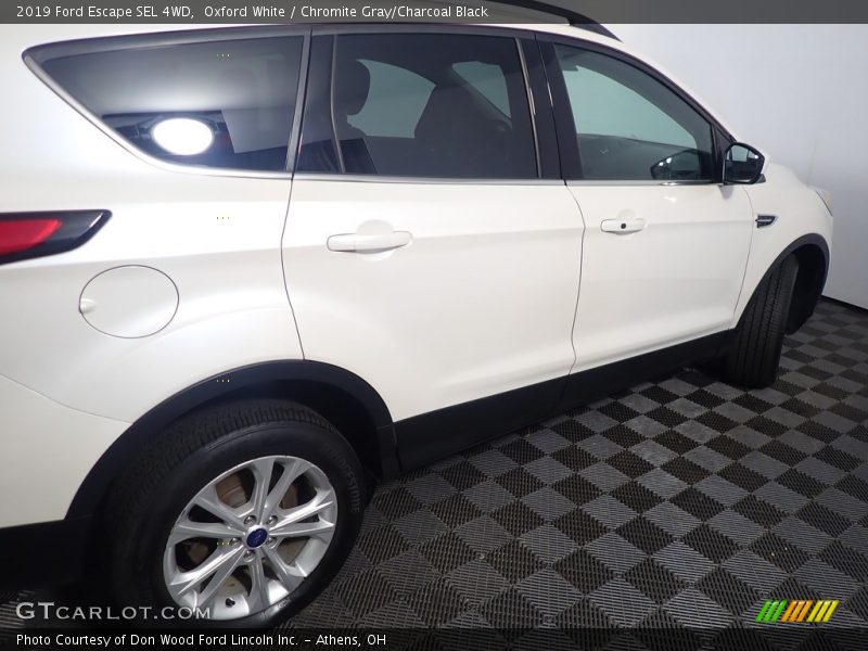 Oxford White / Chromite Gray/Charcoal Black 2019 Ford Escape SEL 4WD