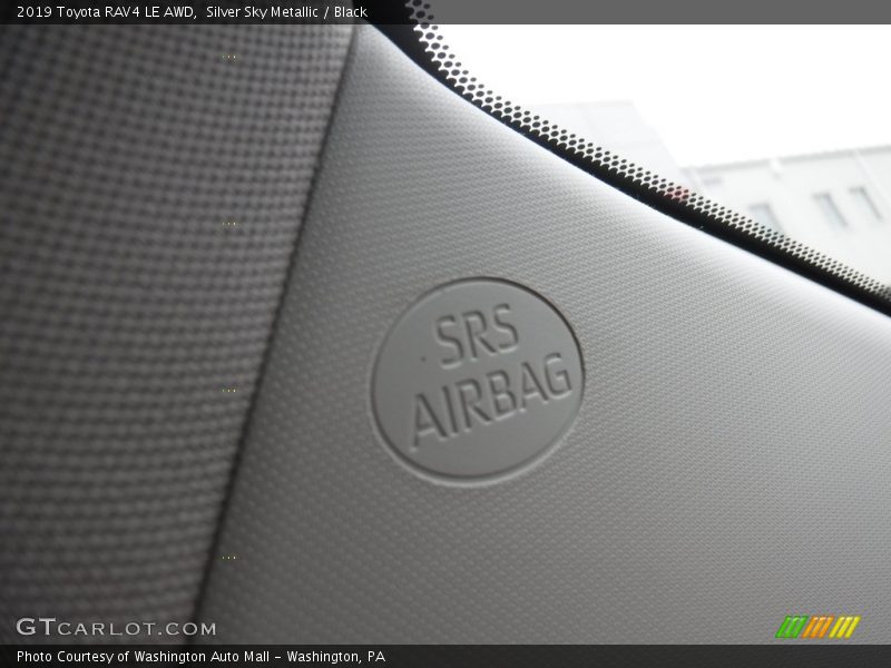 Silver Sky Metallic / Black 2019 Toyota RAV4 LE AWD