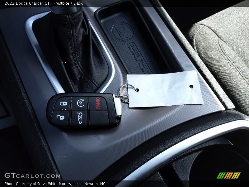 Frostbite / Black 2022 Dodge Charger GT