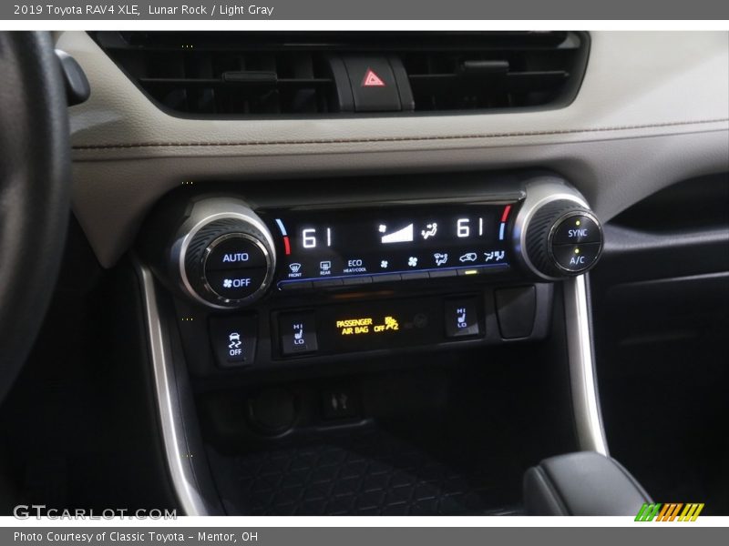 Lunar Rock / Light Gray 2019 Toyota RAV4 XLE