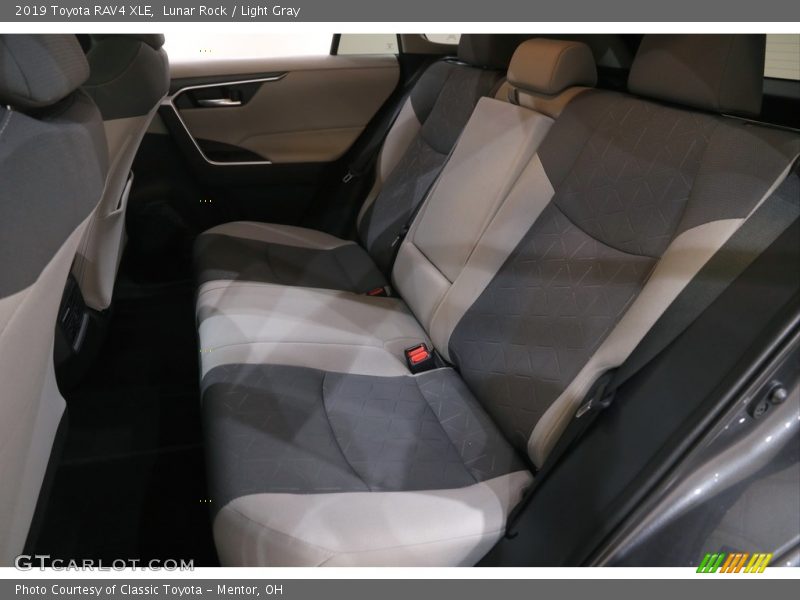 Lunar Rock / Light Gray 2019 Toyota RAV4 XLE
