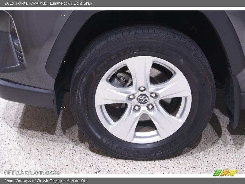 Lunar Rock / Light Gray 2019 Toyota RAV4 XLE
