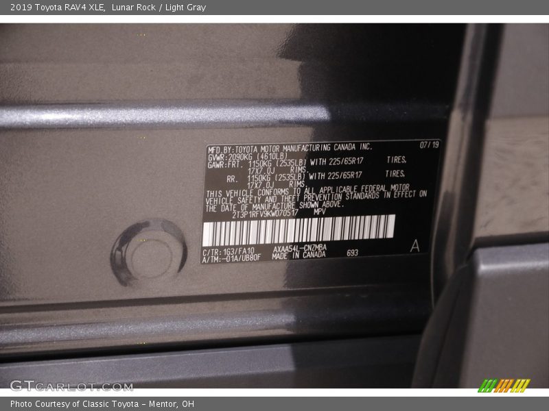 Lunar Rock / Light Gray 2019 Toyota RAV4 XLE