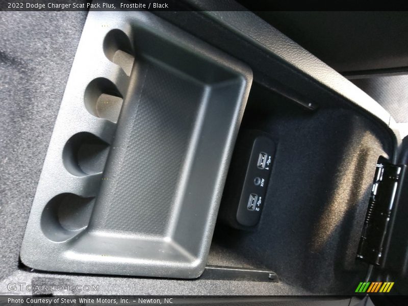 Frostbite / Black 2022 Dodge Charger Scat Pack Plus