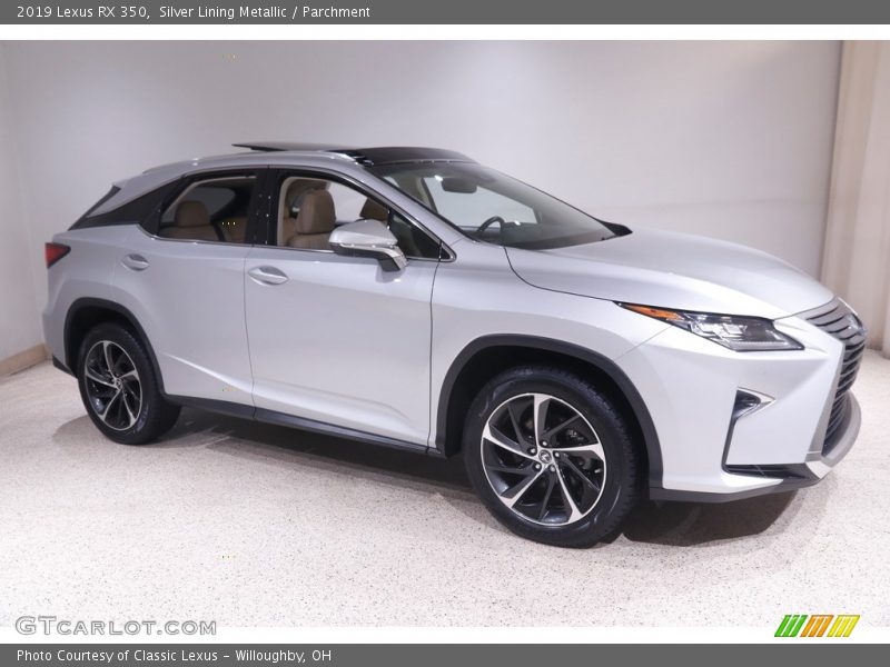 2019 RX 350 Silver Lining Metallic