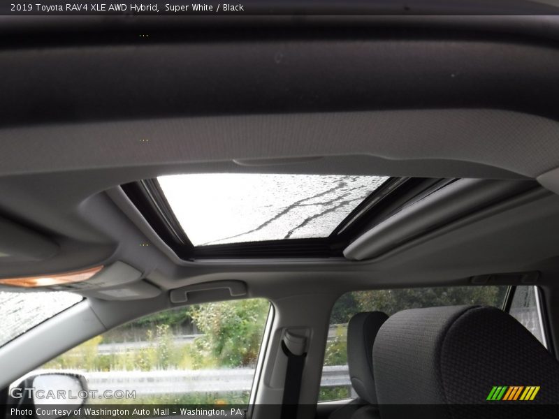 Super White / Black 2019 Toyota RAV4 XLE AWD Hybrid