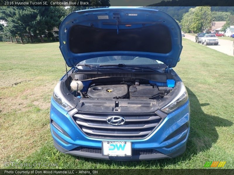 Caribbean Blue / Black 2016 Hyundai Tucson SE