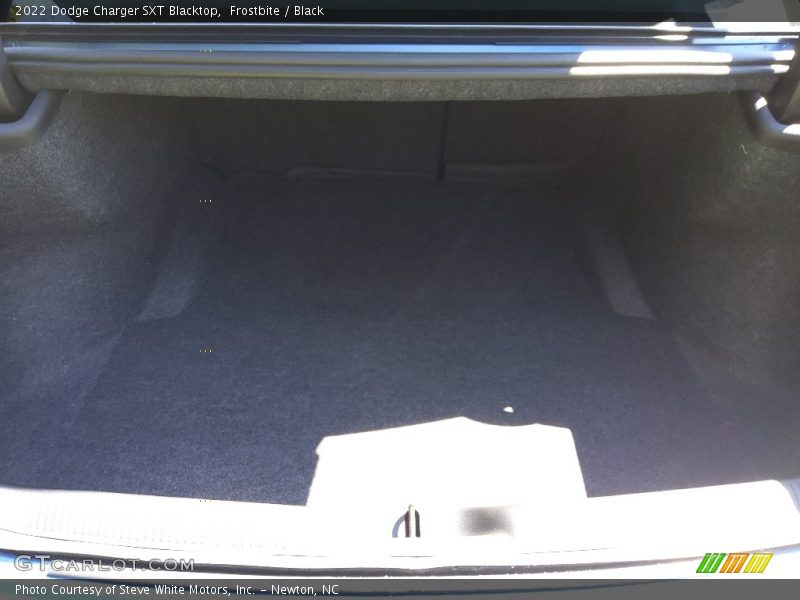 Frostbite / Black 2022 Dodge Charger SXT Blacktop