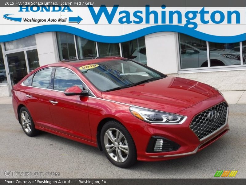 Scarlet Red / Gray 2019 Hyundai Sonata Limited
