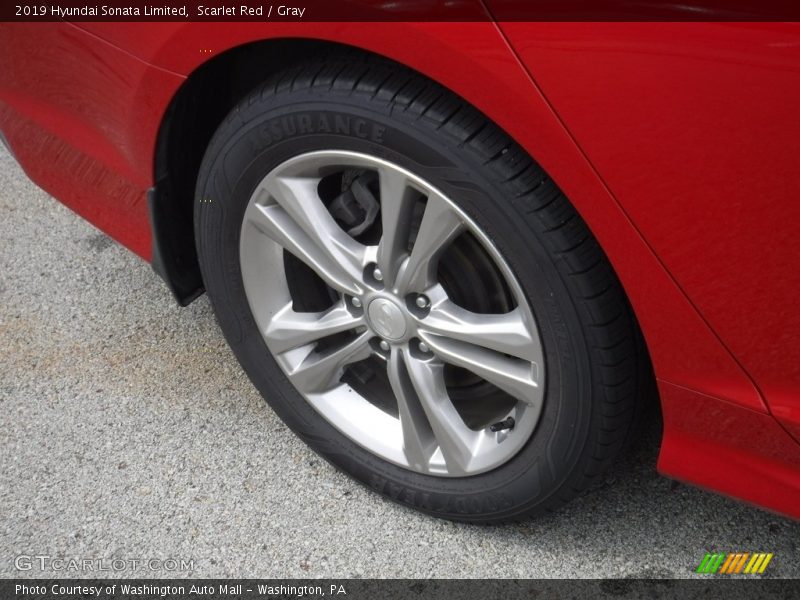 Scarlet Red / Gray 2019 Hyundai Sonata Limited
