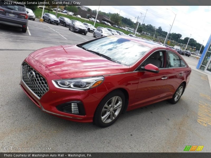 Scarlet Red / Gray 2019 Hyundai Sonata Limited