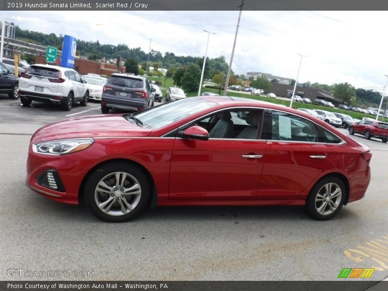 Scarlet Red / Gray 2019 Hyundai Sonata Limited