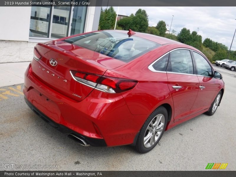 Scarlet Red / Gray 2019 Hyundai Sonata Limited