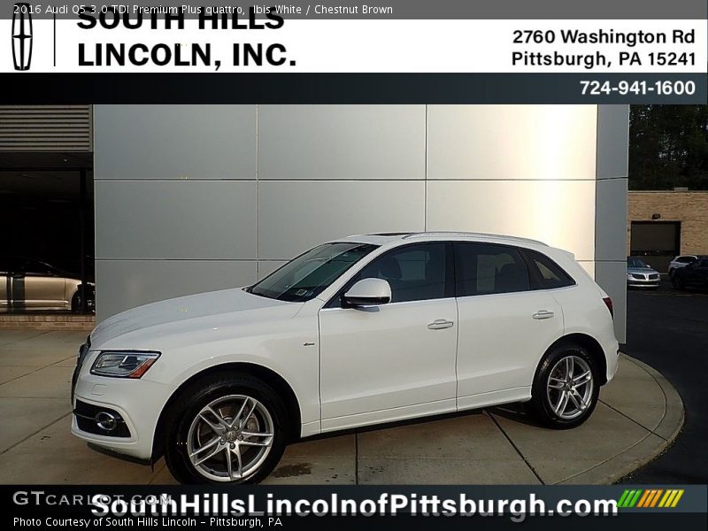 Ibis White / Chestnut Brown 2016 Audi Q5 3.0 TDI Premium Plus quattro