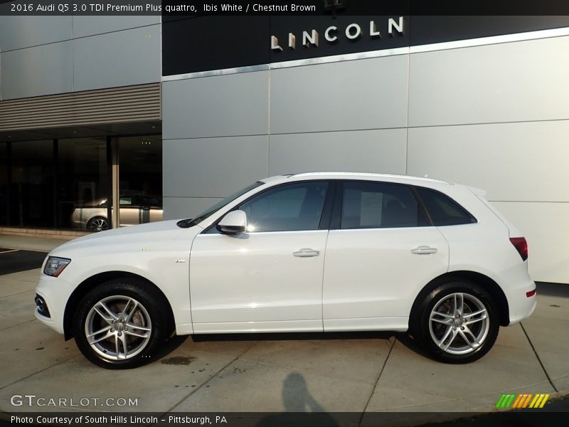  2016 Q5 3.0 TDI Premium Plus quattro Ibis White