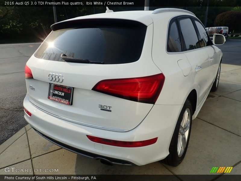 Ibis White / Chestnut Brown 2016 Audi Q5 3.0 TDI Premium Plus quattro